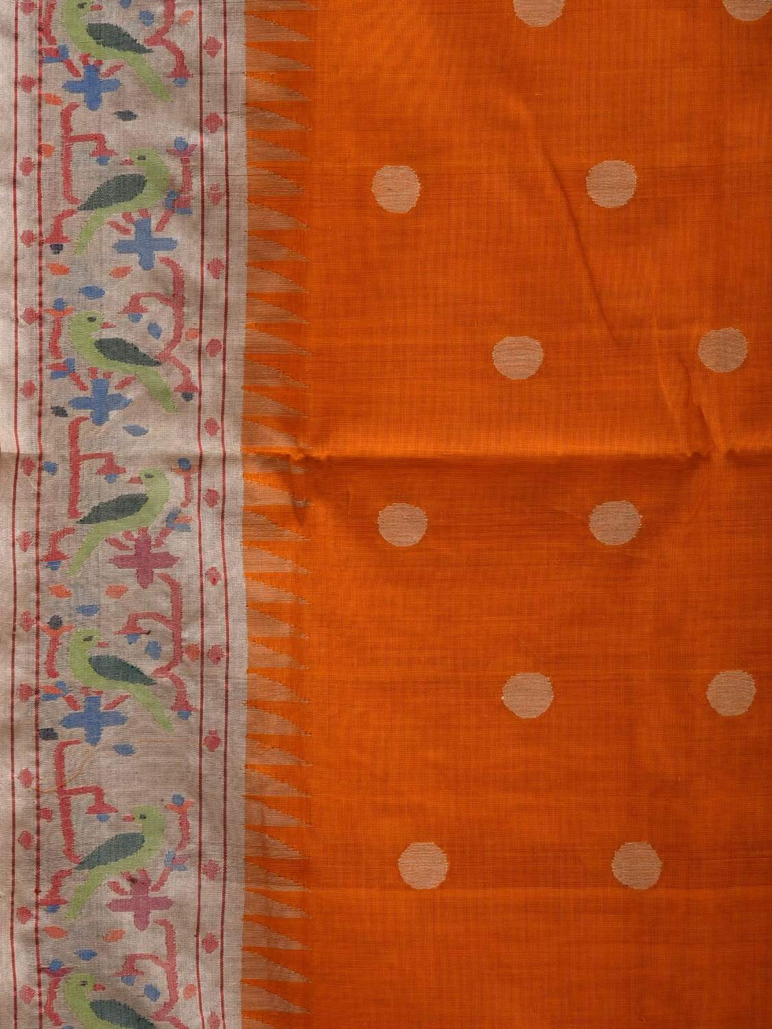 Orange Paithani Cotton Handloom Saree with Parrot Border Design p0365