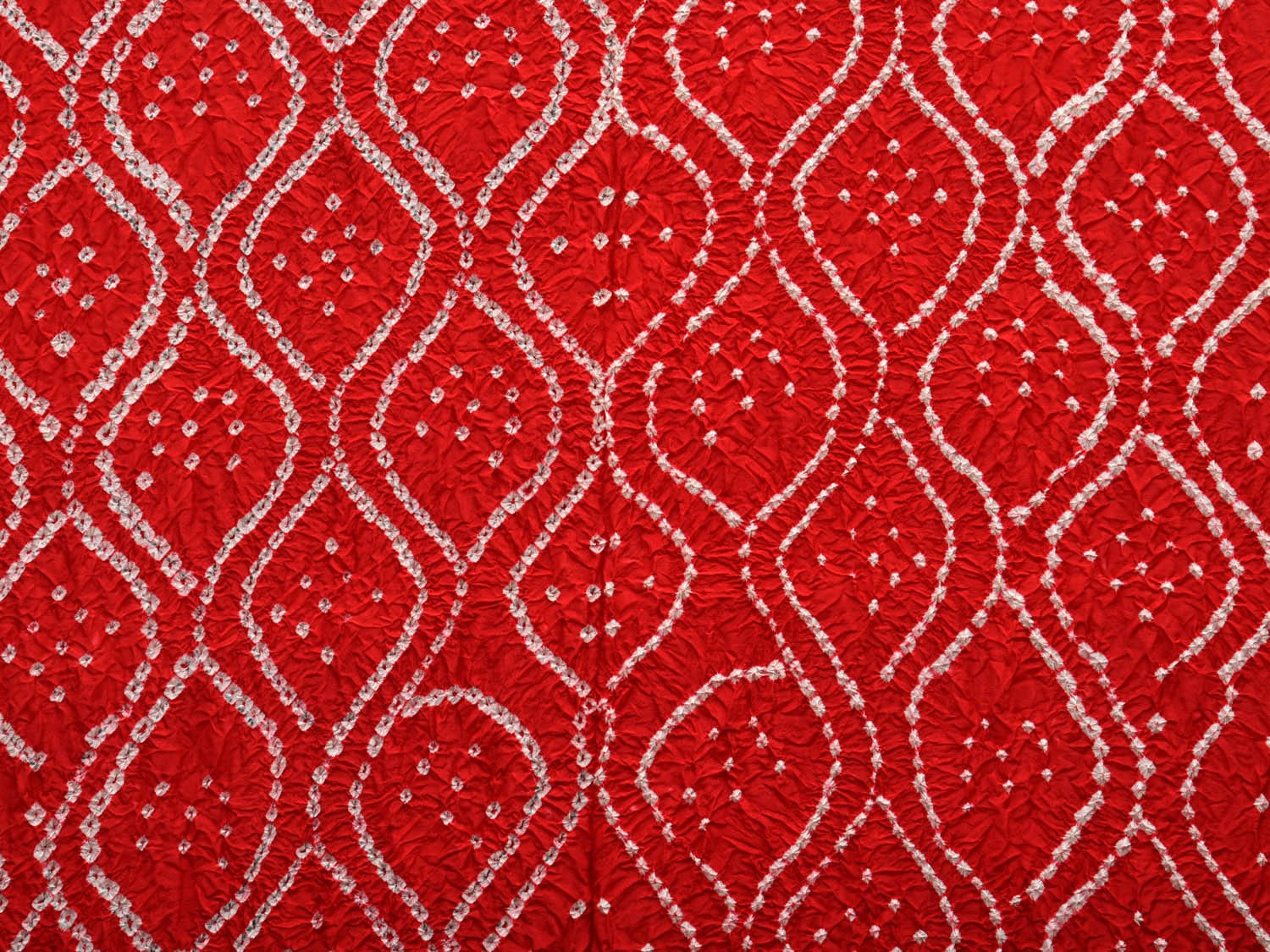 Red Bandhani Kanchipuram Silk Handloom Dupatta with Border Design ds2694