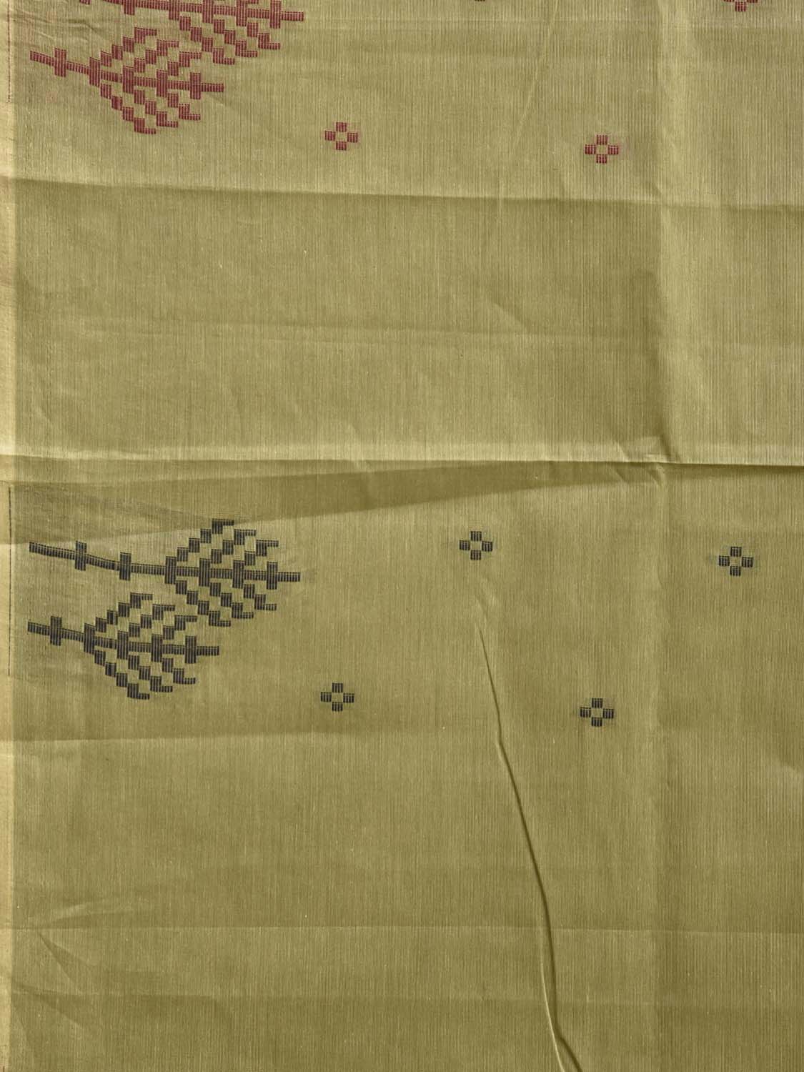 Light Green Venkatagiri Cotton Saree with Border and Pallu Design v0242