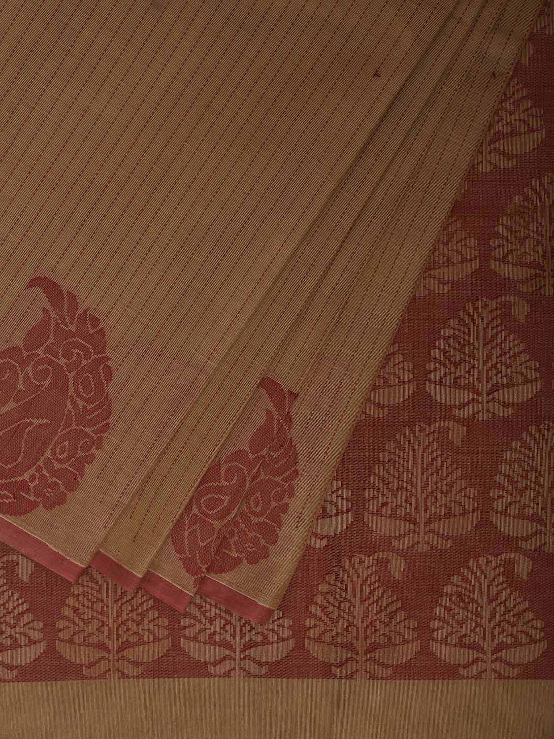 Light Green and Red Venkatagiri Cotton Saree with Mango Border and Pallu Design v0263