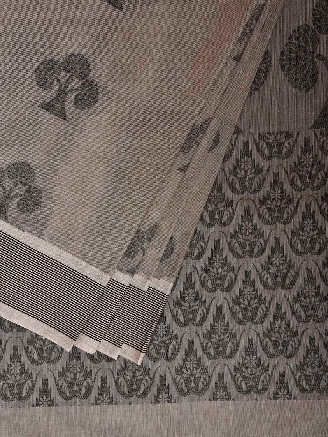 Grey Venkatagiri Cotton Saree with Tree Buta and Pallu Design v0295